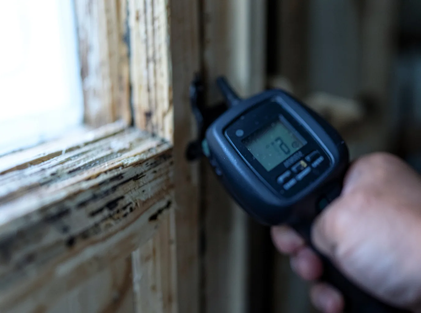 Moisture Inspection And Documentation in Hitterdal, MN